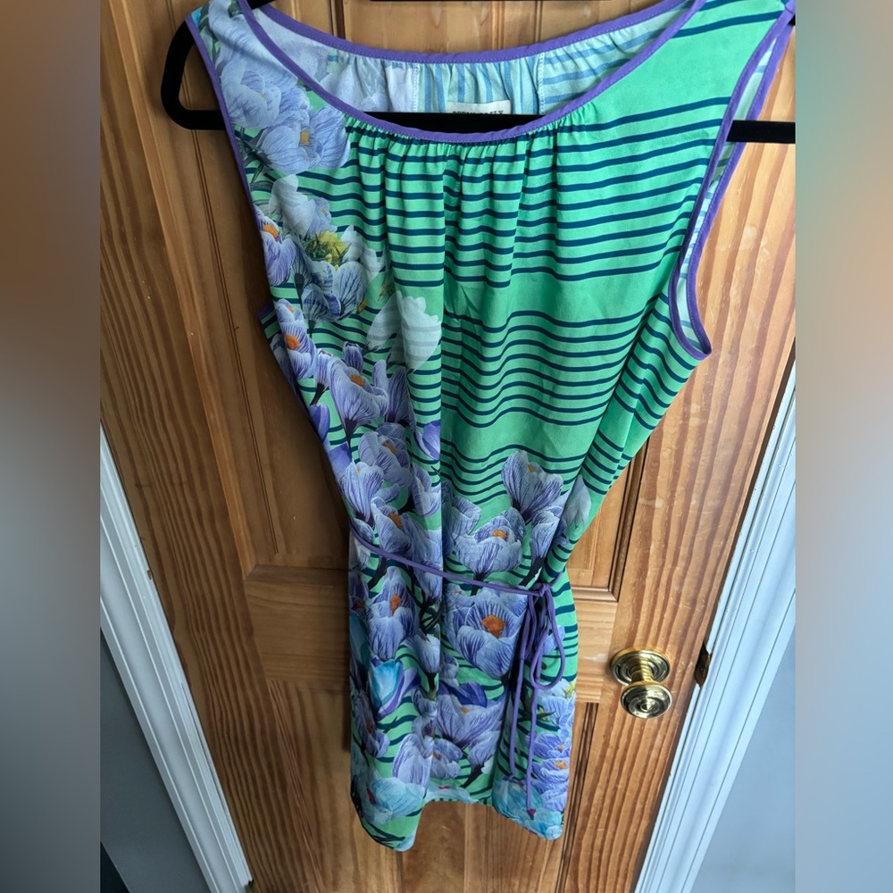 Anthropologie Dream Daily dress (M)